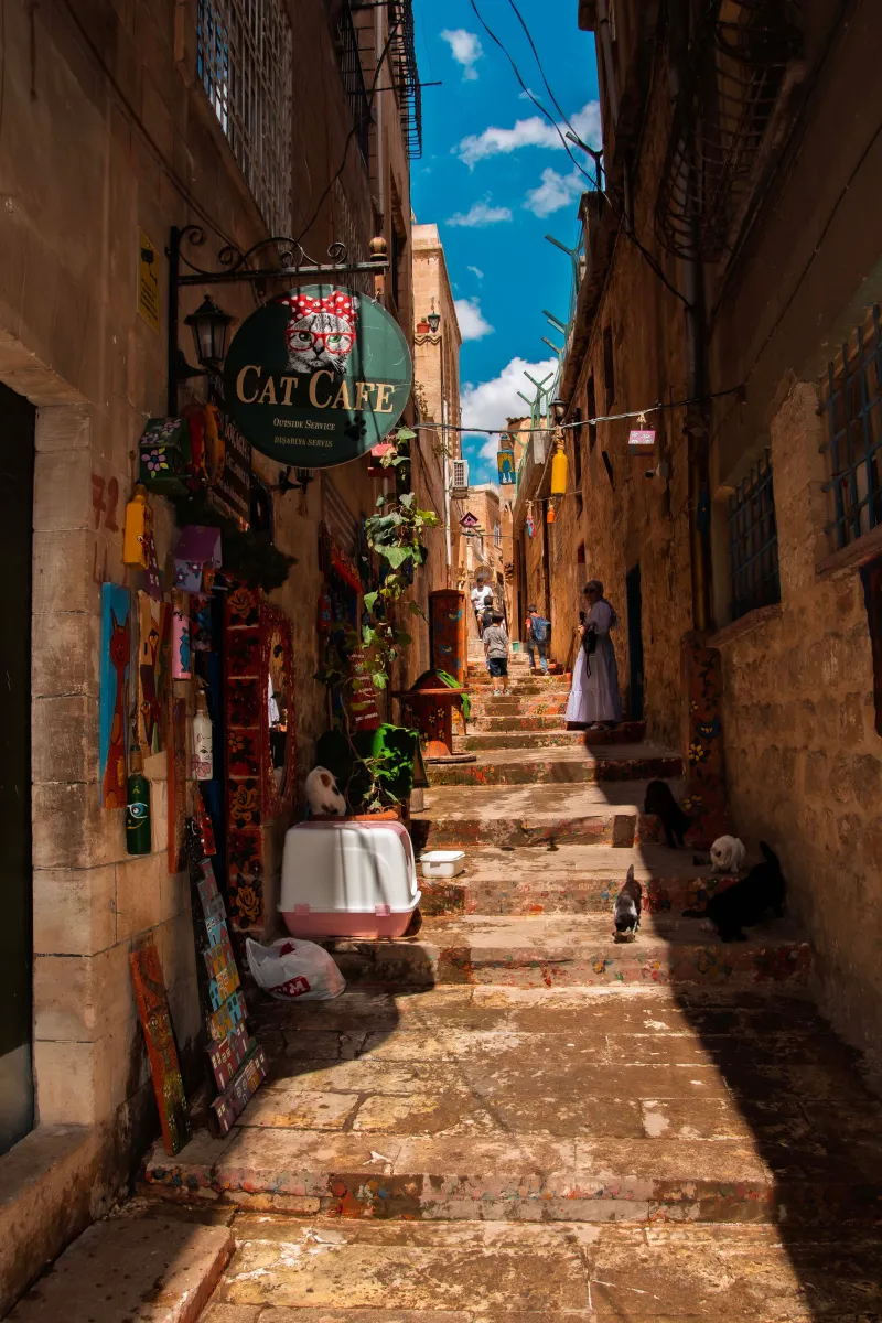 Pump the Brakes: Why American Visitors Keep Getting Mardin's Tempo Wrong